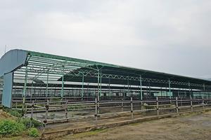 Hà Tĩnh: Khởi tố hai giám đốc chiếm đoạt 110 tỷ đồng