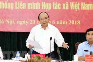 Thủ tướng: Hợp tác xã có sứ mệnh quan trọng trong quá trình hội nhập