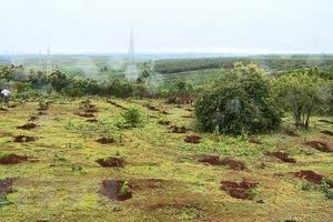 Khởi tố 4 bị can tham ô tài sản và cố ý làm trái quy định của Nhà nước