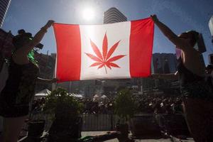 Canada hợp pháp hóa cần sa từ tháng 10