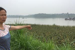 Cát tặc vẫn tiếp tục hoành hành