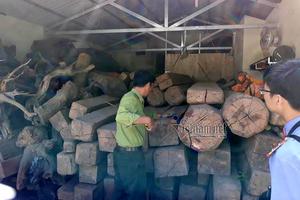 Gỗ quý chất chồng trong sào huyệt của 2 trùm ma túy Sơn La