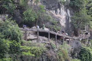 Kết luận thanh tra hoạt động của Công ty cổ phần Du lịch Tràng An