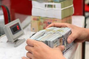 Chuyên gia Nguyễn Trí Hiếu: Tỷ giá có thể sẽ tăng từ 1-3%