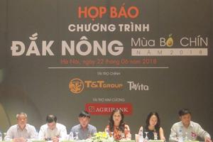 Giữa tháng 7 diễn ra Chương trình "Đắk Nông - Mùa bơ chín" năm 2018