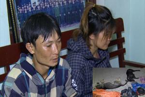 Hai vợ chồng rủ nhau đi bắt trộm chó