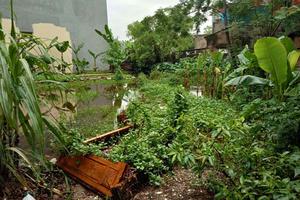 Cấp sổ đỏ hơn 10 năm vẫn không có đất để xây nhà