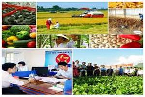 Một số văn bản chỉ đạo, điều hành và chính sách mới của Chính phủ