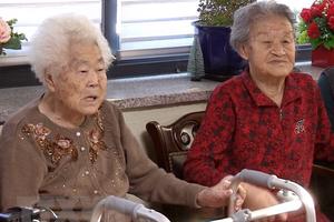 Hàn Quốc lập quỹ 9 triệu USD hỗ trợ "phụ nữ mua vui" còn sống