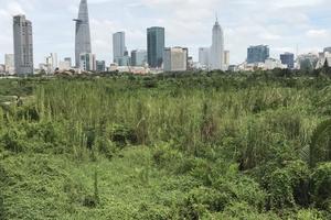 Xử lý cán bộ sai phạm về nhà đất phải đúng người, đúng tội