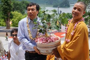 Đến chùa Tam Chúc ngắm cây Bồ Đề thiêng