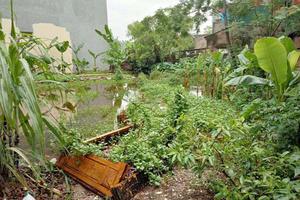 Tỉnh chỉ đạo, liệu có được xử lý dứt điểm?