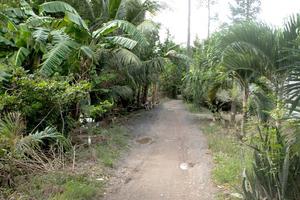 Đồng Tháp: Hàng loạt công trình bị quyết toán khống