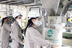 Công ty Cổ phần DAP số 2 - Vinachem: Đang hoạt động trong tình trạng mất cân đối về tài chính