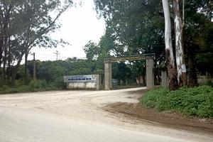 Bị khởi tố vẫn ngang nhiên bổ nhiệm Phó Tổng Giám đốc 