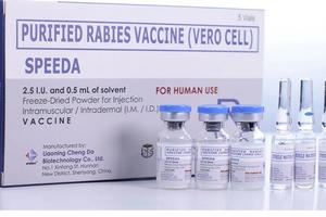 Vắc xin phòng dại Speeda không liên quan bê bối tại Trung Quốc 
