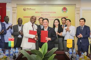 T&T Group thu mua toàn bộ sản lượng hạt điều thô của Guinea Bissau