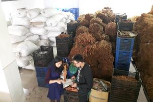 Kiểm tra, rà soát toàn diện nhóm hàng mỹ phẩm, dược liệu 