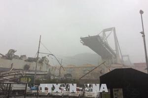 Vụ sập cầu cạn tại Italy: Bắt đầu thu hồi giấy phép của Autostrade