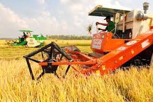 Tiếp tục rà soát, đánh giá những bất cập liên quan đến tích tụ đất đai