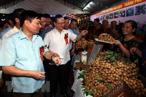 Tỉnh Hưng Yên tổ chức khai mạc Lễ hội nhãn lồng năm 2018