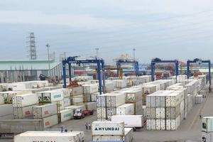 Trên 3.500 container phế liệu đang tồn đọng tại Cảng Hải Phòng