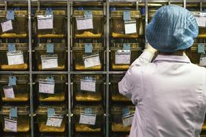 Trung Quốc cách chức quan chức cấp cao liên quan vụ bê bối vắcxin