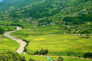 Tháng 9, còn gì tuyệt hơn thú “săn” mùa vàng Tây Bắc