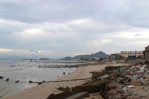 Triều cường gây sạt lở, hàng nghìn hộ dân điêu đứng