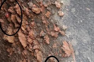 Những uẩn khúc cần làm sáng tỏ trong vụ tai nạn chết người