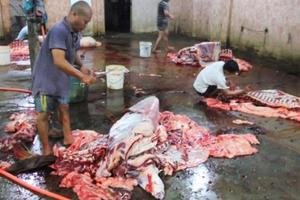 Phát hiện 30 cơ sở vi phạm an toàn thực phẩm