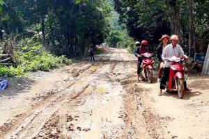 “Lộ” nhiều sai phạm tại dự án đường lâm nghiệp kết hợp công vụ, đường ranh cản lửa