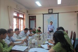 Phải truy bắt cho được đối tượng phá rừng