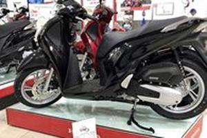 SH giảm 'sốc' xuống dưới 100 triệu, ô tô hạ 244 triệu/chiếc tháng cô hồn