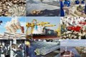 Tập trung hoàn thành cao nhất kế hoạch sắp xếp, cổ phần hóa DNNN