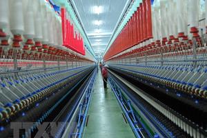 Chế tài đủ mạnh để xóa bỏ hoạt động kinh tế ngầm và bất hợp pháp