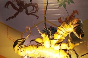 Lễ hội sâm Ngọc Linh lần 2