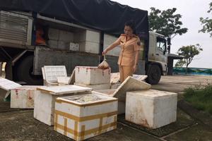 Bắt xe chở 250kg gà thịt bốc mùi hôi thối