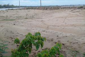 Sở Kế hoạch và Đầu tư bị “tố” làm khó doanh nghiệp       