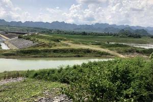 Những quyết định “kỳ lạ” khi thực hiện dự án