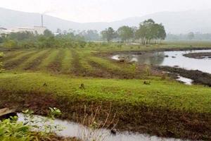 Chuyển 2 vụ sai phạm nghiêm trọng sang Cơ quan điều tra