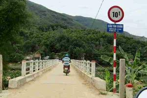 Bình Định: Nội dung phản ánh của Báo Thanh tra là có thật