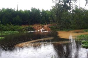 Ô nhiễm nguồn nước, cá chết trắng kênh
