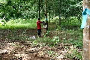 Nhiều đề nghị từ Trung ương chuyển tới UBND tỉnh Bình Phước kiểm tra, xử lý