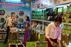 Triển lãm sâm Ngọc Linh và các dược liệu khác