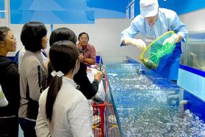 Cua Cà Mau đấu với... cua hoàng đế Mỹ