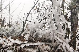 Mùa đông 2018 đến sớm và rét đậm, rét hại sẽ nhiều hơn ​