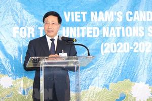 Việt Nam sẽ hoàn thành trọng trách của một thành viên Hội đồng Bảo an