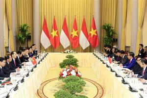 Chủ tịch nước Trần Đại Quang hội đàm với Tổng thống Indonesia