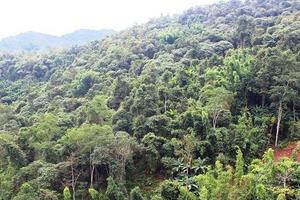 Xác định chịu thuế thu nhập doanh nghiệp chưa đúng quy định